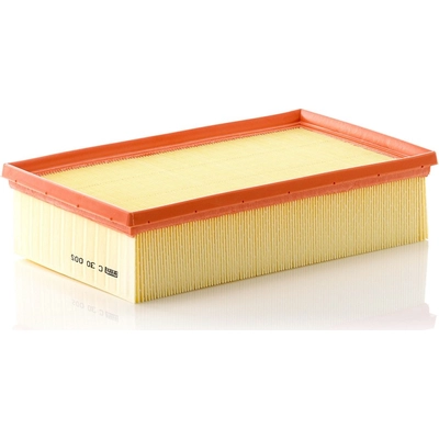 MANN-FILTER - C30-005 - Air Filter pa6