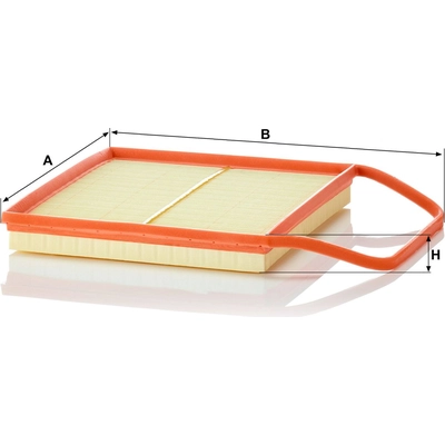 MANN-FILTER - C36-004 - Air Filter pa3