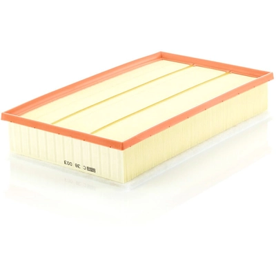 MANN-FILTER - C38-003 - Air Filter pa1