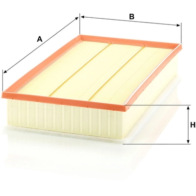 MANN-FILTER - C38-003 - Air Filter pa2