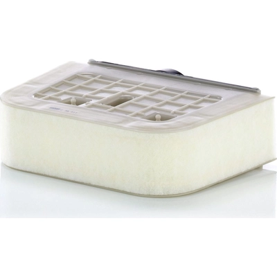 MANN-FILTER - C38-011 - Air Filter pa7