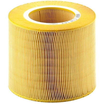 MANN-FILTER - C18-143 - Air Filter pa4