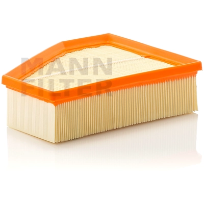 Air Filter by MANN-FILTER - C23-109 pa1