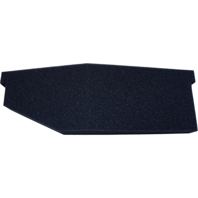 Air Filter by MOTORCRAFT - FA1952 pa3