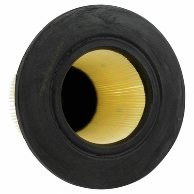 Air Filter by MOTORCRAFT - FA1615 pa1