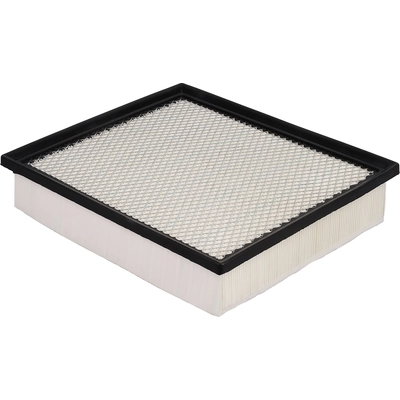 PREMIUM GUARD - PA8172 - Air Filter pa10