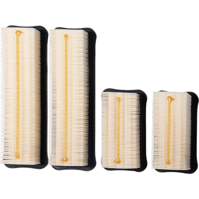 PREMIUM GUARD - PA99691 - Air Filter pa2