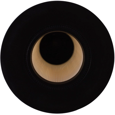 Air Filter by PREMIUM GUARD - PA4879 pa5