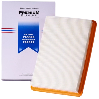 Air Filter by PRONTO FILTERS - PA5395 pa2