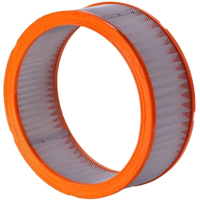 PRONTO FILTERS - PA67 - Engine Air Filter pa1