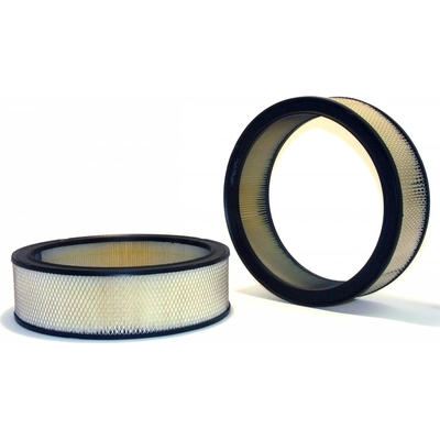 PROTEC AUTOPARTS - PXA42096 - Air Filter pa1