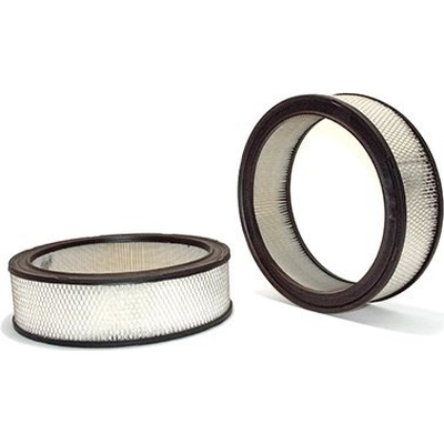 Air Filter by PROTEC AUTOPARTS - PXA42098 pa1