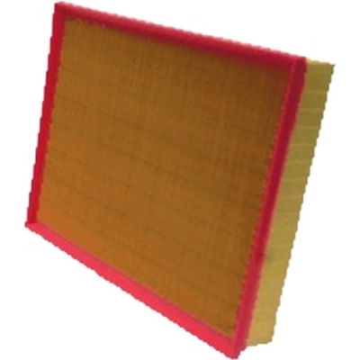 PROTEC AUTOPARTS - PXA49876 - Air Filter pa2