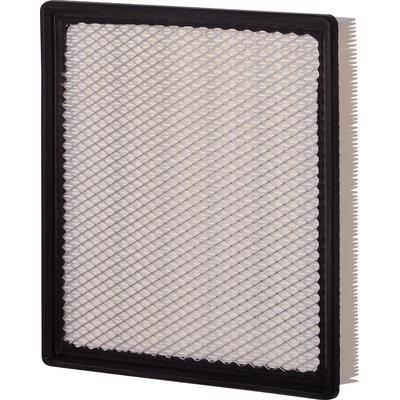PUREZONE OIL & AIR FILTERS - 9-42846 - Air Filter pa5