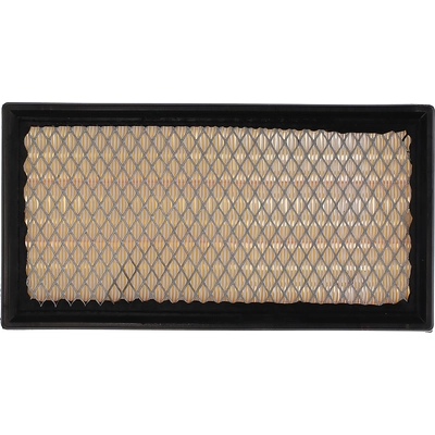 PUREZONE OIL & AIR FILTERS - 9-46117 - Air Filter pa9
