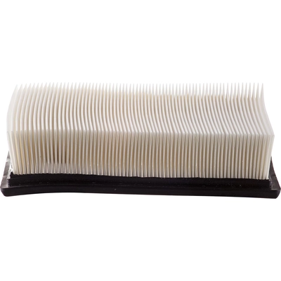 PUREZONE OIL & AIR FILTERS - 9-46320 - Air Filter pa7