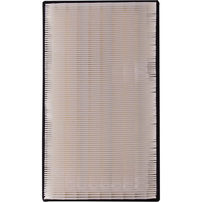 Air Filter by PUREZONE OIL & AIR FILTERS - 9-46390 pa6