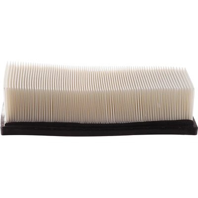 PUREZONE OIL & AIR FILTERS - 9-49000 - Air Filter pa4