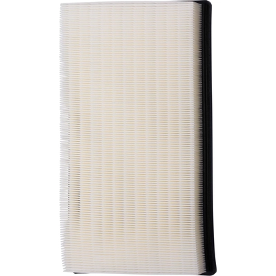 Air Filter by PUREZONE OIL & AIR FILTERS - 9WA11659 pa1
