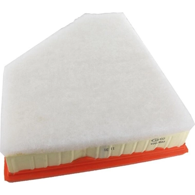 Air Filter by VAICO - V20-0693 pa1