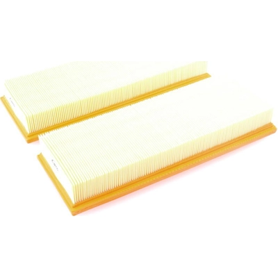 Air Filter by VAICO - V30-0856 pa1