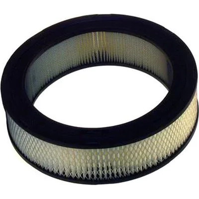 WIX - 42020 - Air Filter pa4
