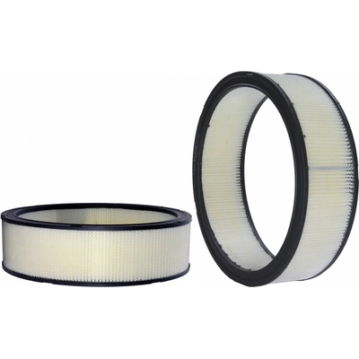 WIX - 42043 - Air Filter pa3