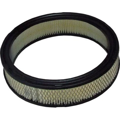 WIX - 42054 - Air Filter pa5