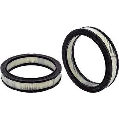Air Filter by WIX - 42071 pa2