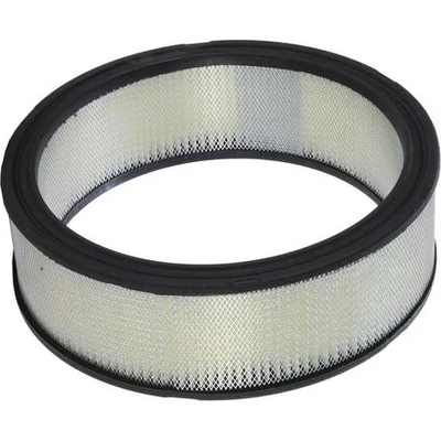Air Filter by WIX - 42093 pa4