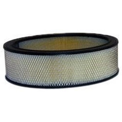 WIX - 42096 - Air Filter pa5