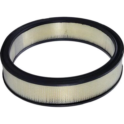 WIX - 42116 - Air Filter pa5