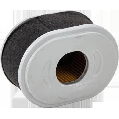 Air Filter by WIX - 42322 pa3