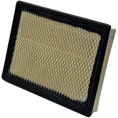 WIX - 42843 - Air Filter pa3