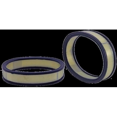 Air Filter by WIX - 46171 pa2