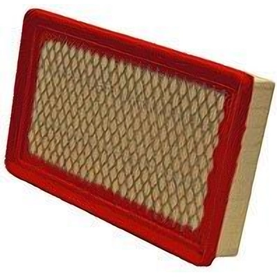 WIX - 49067 - Air Filter pa3