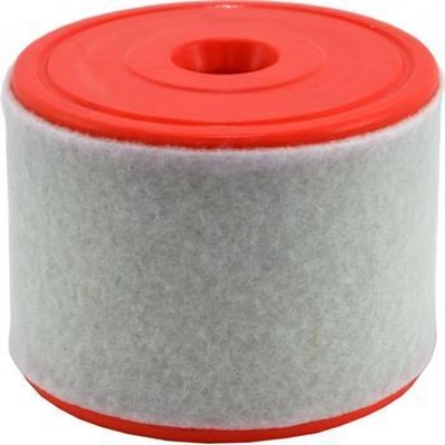 Air Filter by WIX - 49343 pa5