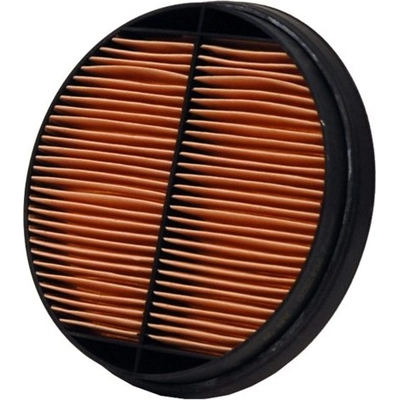 Air Filter by WIX - 49520 pa8