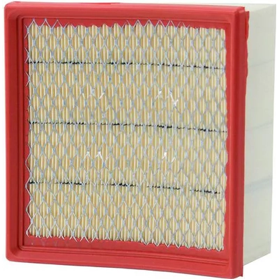 WIX - WA10318 - Air Filter pa9