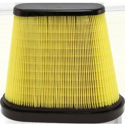 Air Filter by WIX - WA10171 pa5