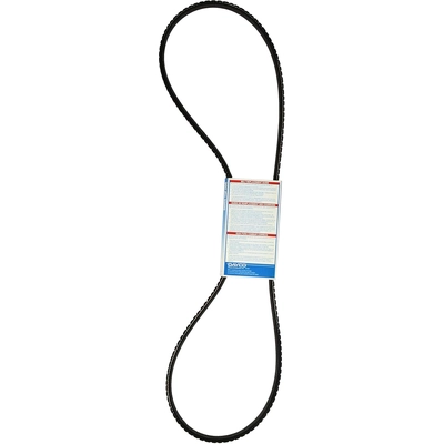 Air Pump And Alternator Belt by DAYCO - 15580 pa21