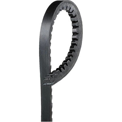 Air Pump And Fan Belt by ACDELCO - 15435 pa1