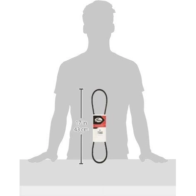Air Pump And Fan Belt by GATES - 7360 pa11