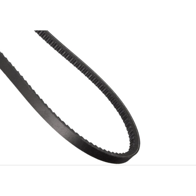 CONTINENTAL - 15366 - Accessory Drive Belt - Automotive V-Belt pa1