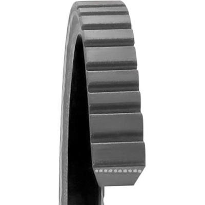 Air Pump And Power Steering Belt by DAYCO - 15305 pa12