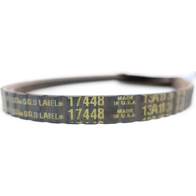 Air Pump And Power Steering Belt by DAYCO - 17448 pa18