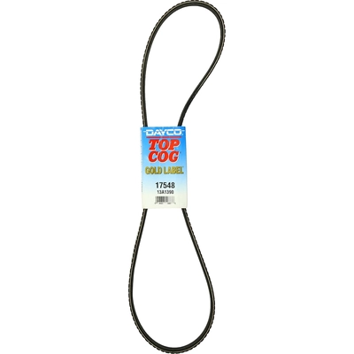 Air Pump And Power Steering Belt by DAYCO - 17548 pa19