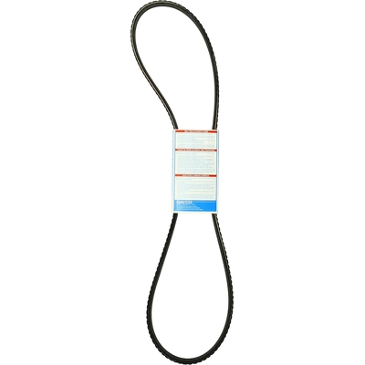 Air Pump And Power Steering Belt by DAYCO - 17548 pa20