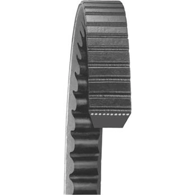 Air Pump And Power Steering Belt by DAYCO - 22655 pa3