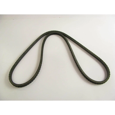 Air Pump Belt by DAYCO - 15505 pa14